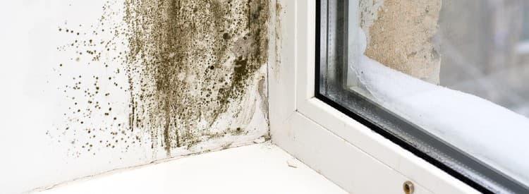 Nằm mơ thấy lúa đánh số gì? Giải mã chi tiết