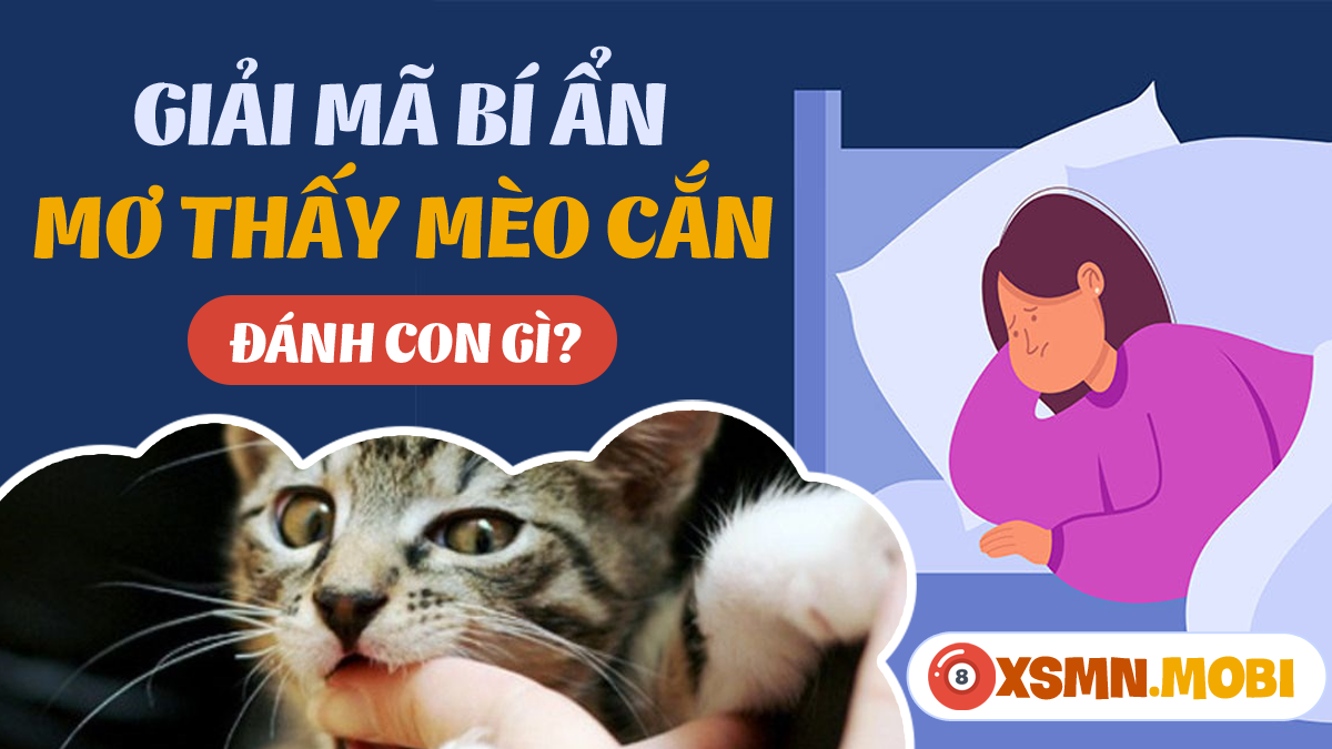 Nằm mơ thấy mèo cắn chảy máu