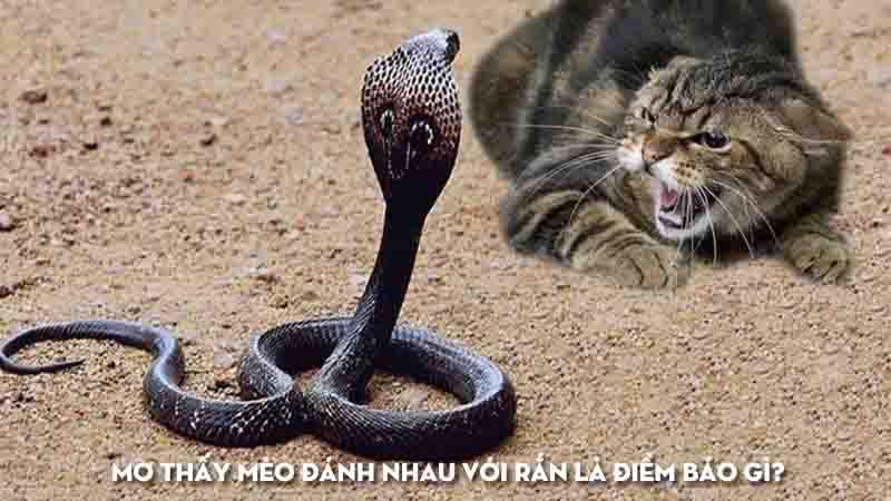 Giải Mã Giấc Mơ Thấy Cãi Nhau Với Bố Mẹ Chồng Và Số Đề Liên Quan