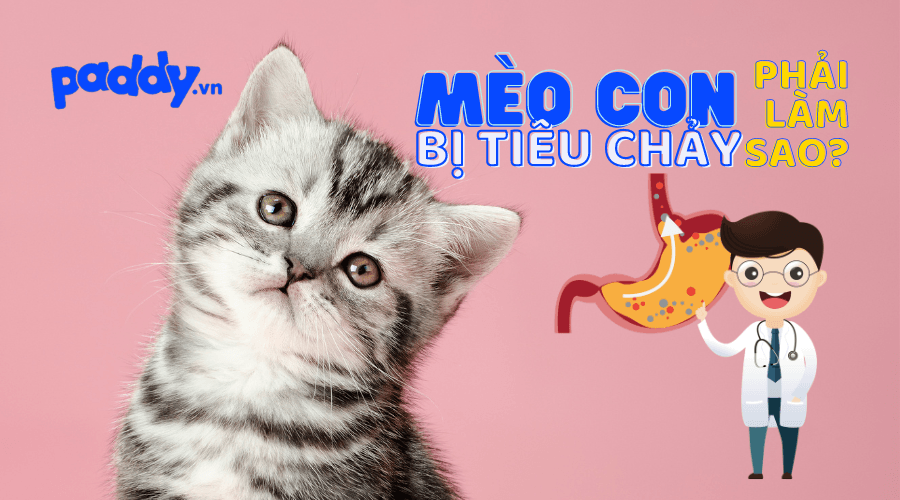 Giải Mã Giấc Mơ Thấy Mẹ Chết Nằm Trong Quan Tài