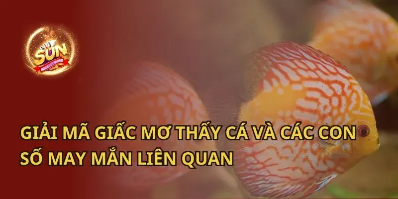 Giải Mã Giấc Mơ Thấy Máy Bay Rơi Đánh Con Gì?