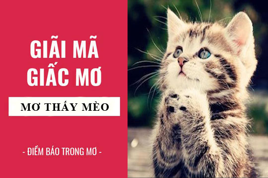 Giải Mã Giấc Mơ Thấy Tượng Phật Bị Đổ và Số Đề Liên Quan