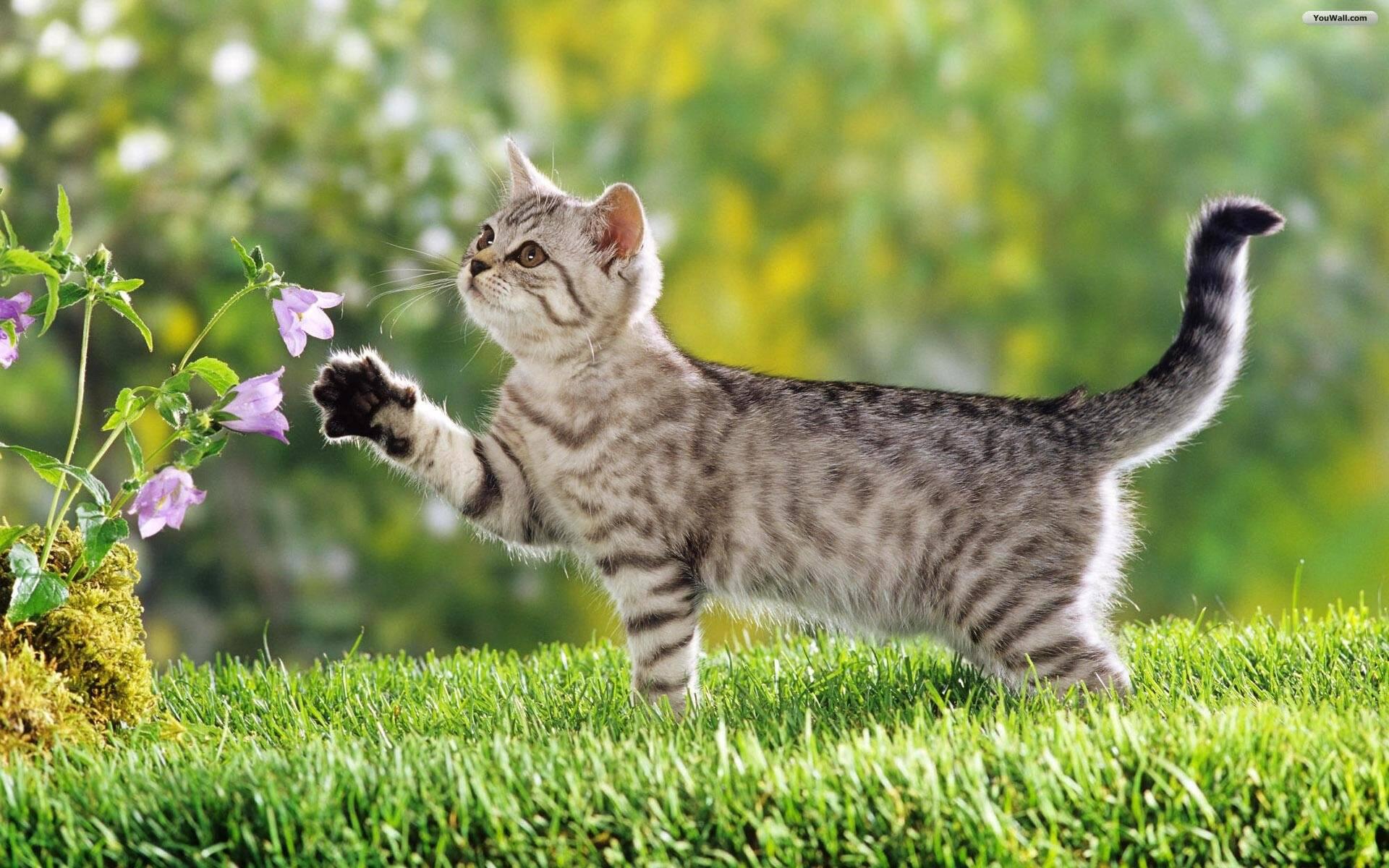 Giải Mã Giấc Mơ Thấy Tượng Phật Bị Đổ và Số Đề Liên Quan