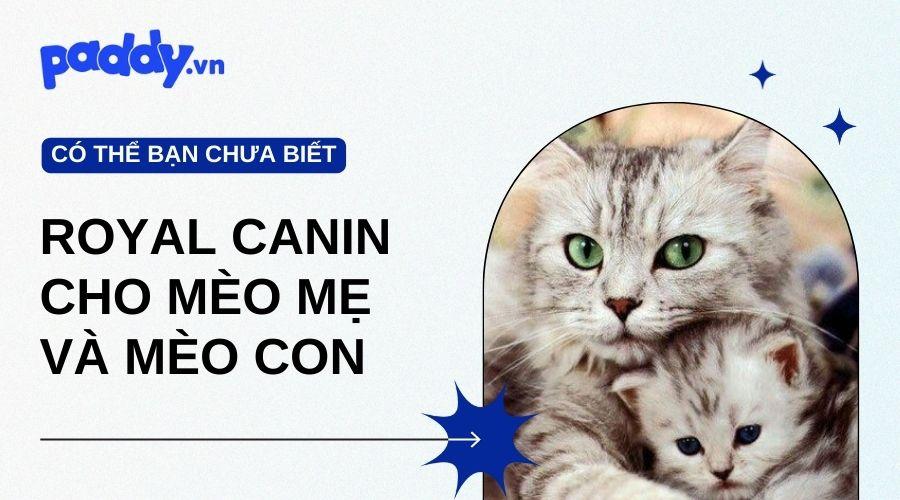 Giải Mã Giấc Mơ Thấy Bà Nội Và Ý Nghĩa Số Đề