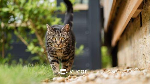 Giải Mã Giấc Mơ Thấy Tượng Phật Bị Đổ và Số Đề Liên Quan