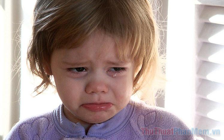 Giải Mã Giấc Mơ Thấy Dế Cơm và Số Đề Liên Quan