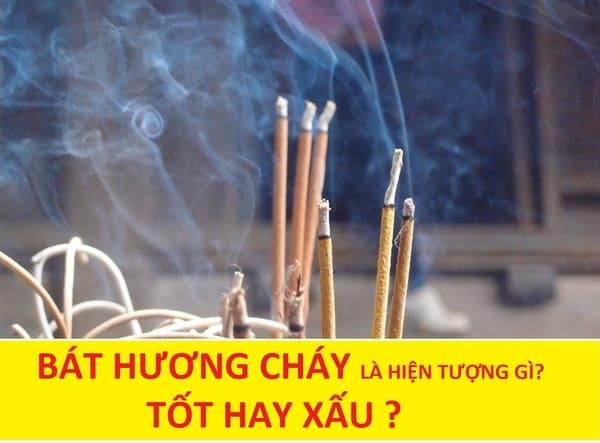Giải Mã Giấc Mơ Bị Chó Sói Đuổi Cắn và Số Đề Liên Quan