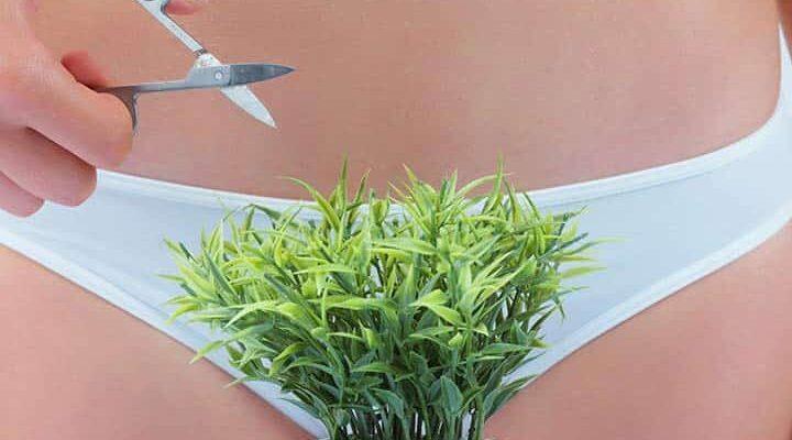 Cạo lông vùng kín bằng dao cạo bạc trong mơ