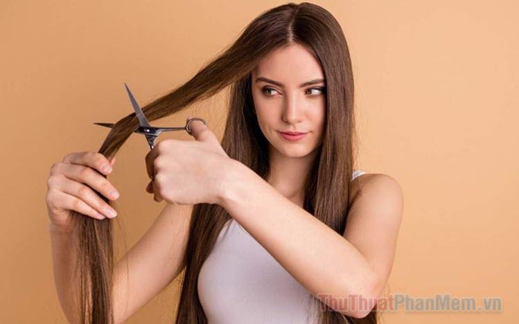 Nằm Mơ Thấy Đi Du Lịch Đánh Số May