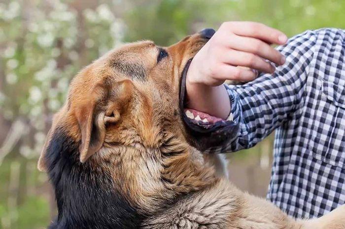 Giải Mã Giấc Mơ Thấy Ma Liên Tục Và Những Con Số Bí Ẩn