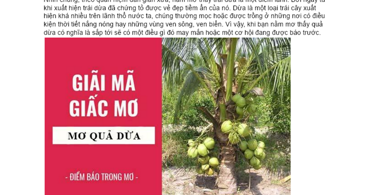 Mơ thấy trèo cây hái dừa