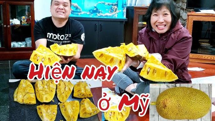Mua nhiều mít chín