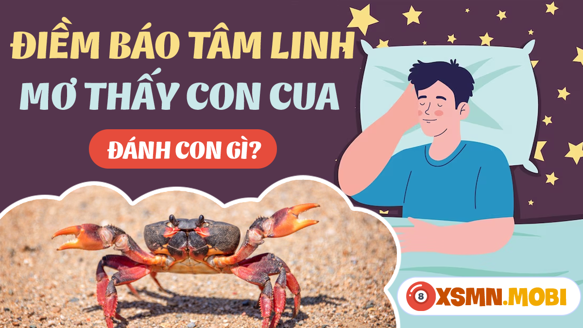 Giải Mã Giấc Mơ Thấy Lỗ Tai Chảy Máu Đánh Con Gì?