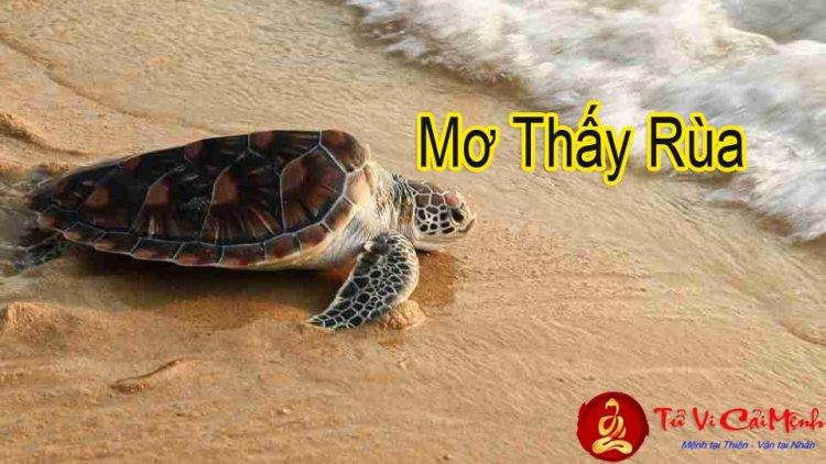 Giải Mã Giấc Mơ Nước Mưa Tràn Vào Nhà và Số Đề Liên Quan