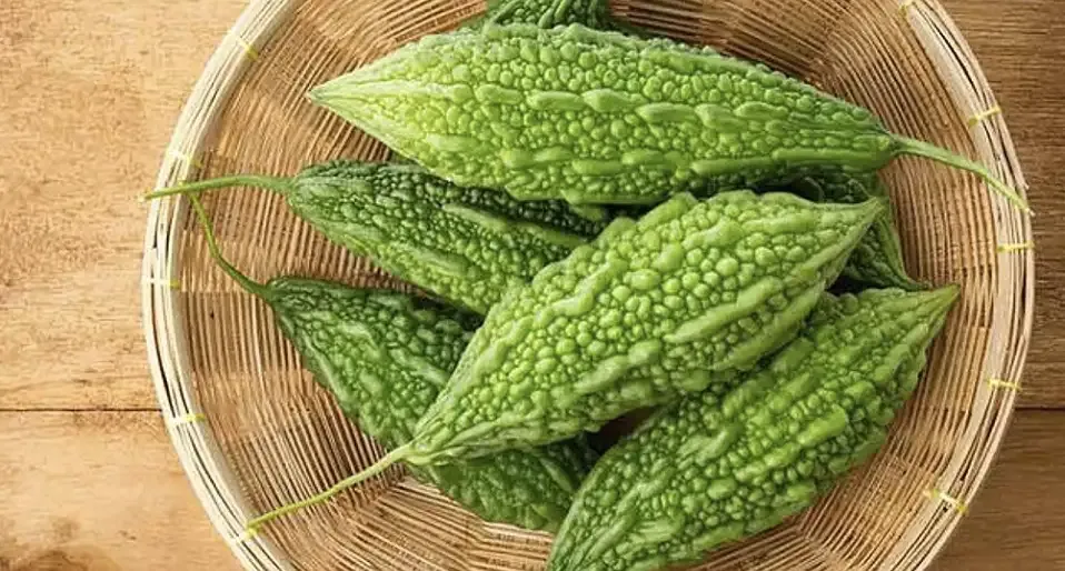 Giải Mã Giấc Mơ Đi Xe Khách Đánh Đề