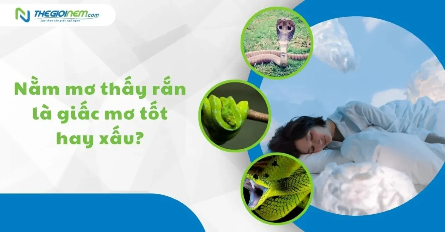 Giải Mã Giấc Mơ Thấy Ký Sinh Trùng Và Số Đề Liên Quan