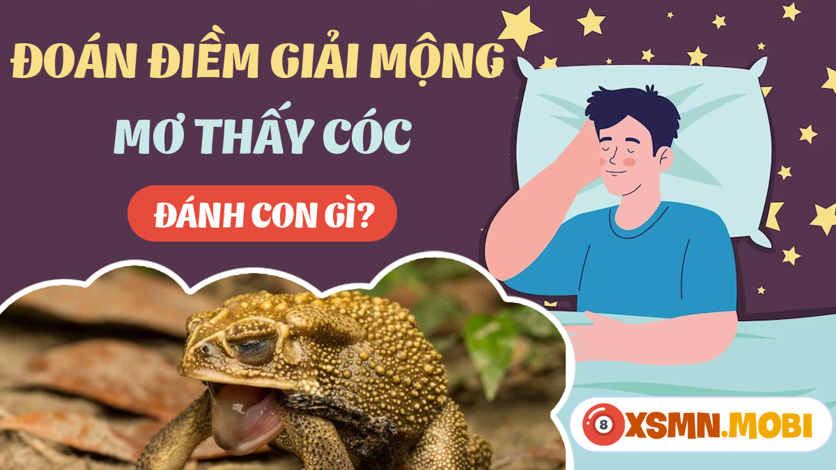 Nằm mơ thấy bắt con cóc đánh con gì? Tra cứu sổ mơ lô đề