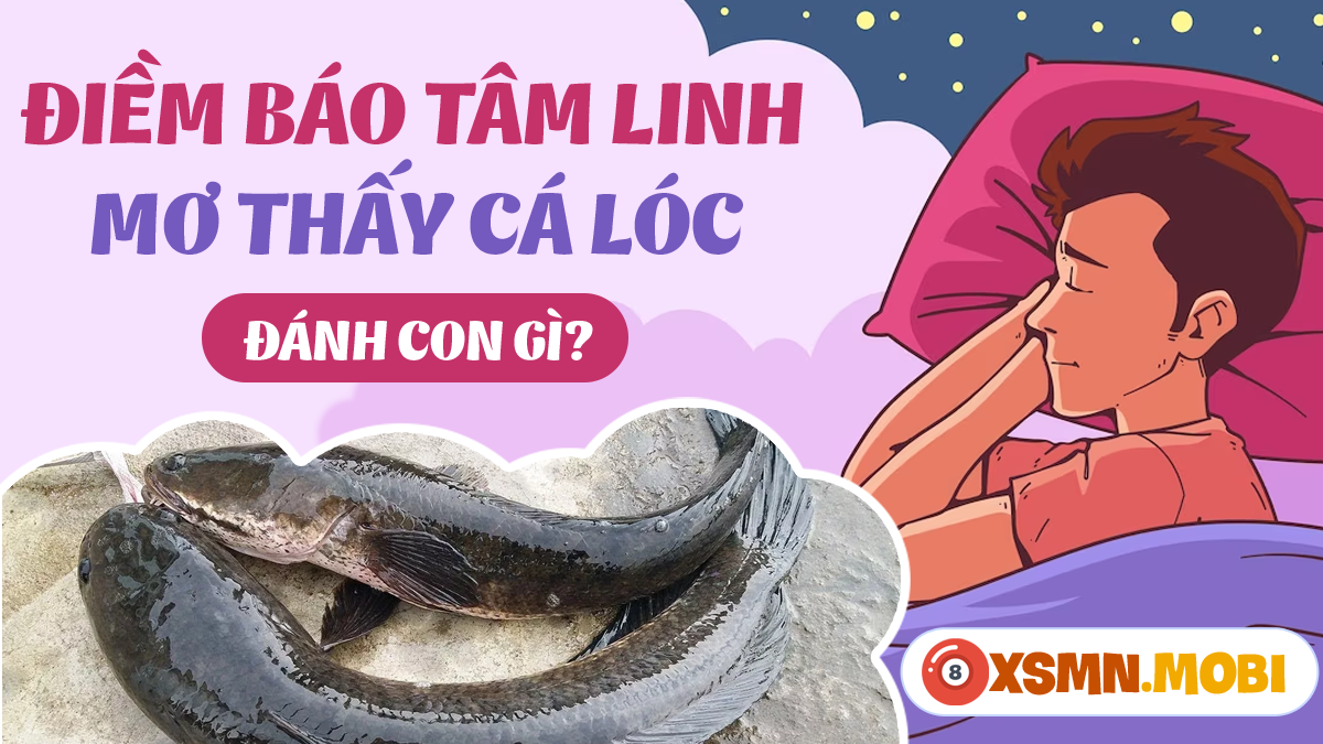 Giải Mã Giấc Mơ Thấy Chó Trắng Vào Nhà Và Số Đề Liên Quan