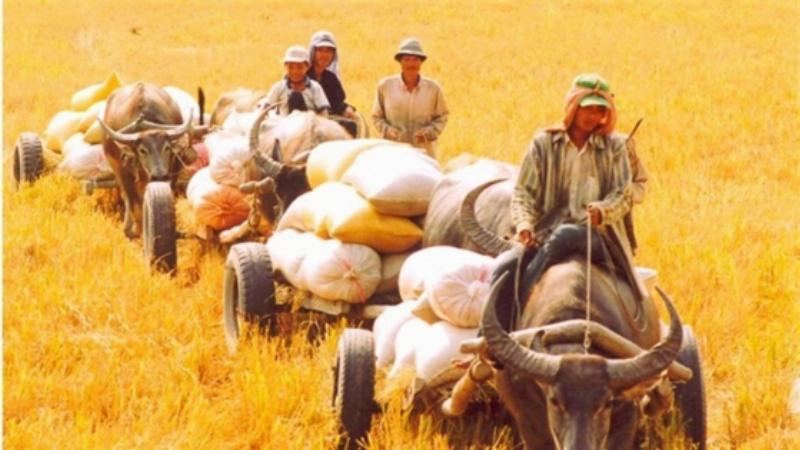 Nằm Mơ Thấy Chó Mực Cắn Đánh Con Gì?