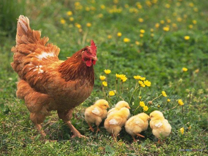 Giải Mã Giấc Mơ Bị Mất Hết Tiền Đánh Con Gì?