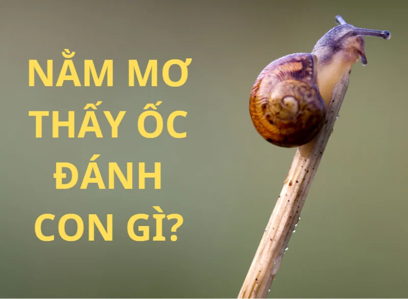 Giải Mã Giấc Mơ Thấy Mình Bị Bắt Nhốt Đánh Con Gì?