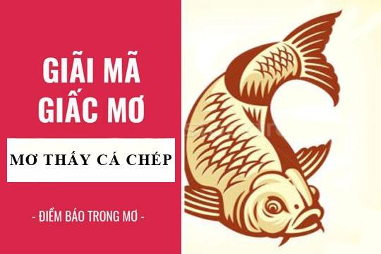 Nằm Mơ Thấy Kiến Đánh Số Mấy?