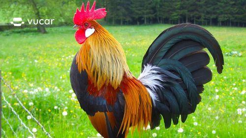 Giải Mã Giấc Mơ Thấy Ký Sinh Trùng Và Số Đề Liên Quan