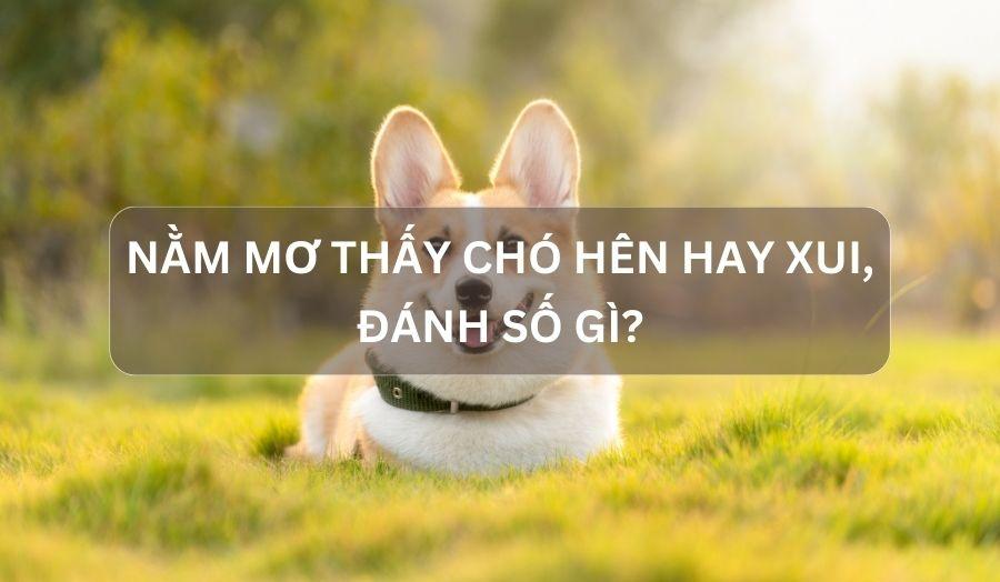 Giải Mã Giấc Mơ Với Lời Bài Hát “Đêm Hôm Qua Nằm Mơ Thấy Em” và Số Đề
