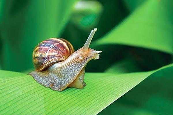Giải Mã Giấc Mơ Bị Bẻ Răng và Số Đề Liên Quan