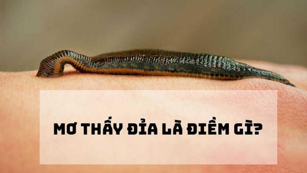 Nằm mơ thấy đỉa bám vào tay chảy máu