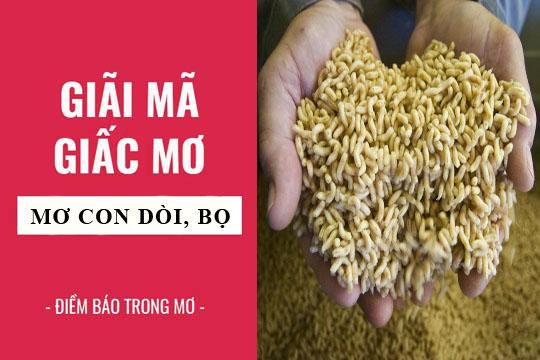 Nằm mơ thấy dòi bọ trên người