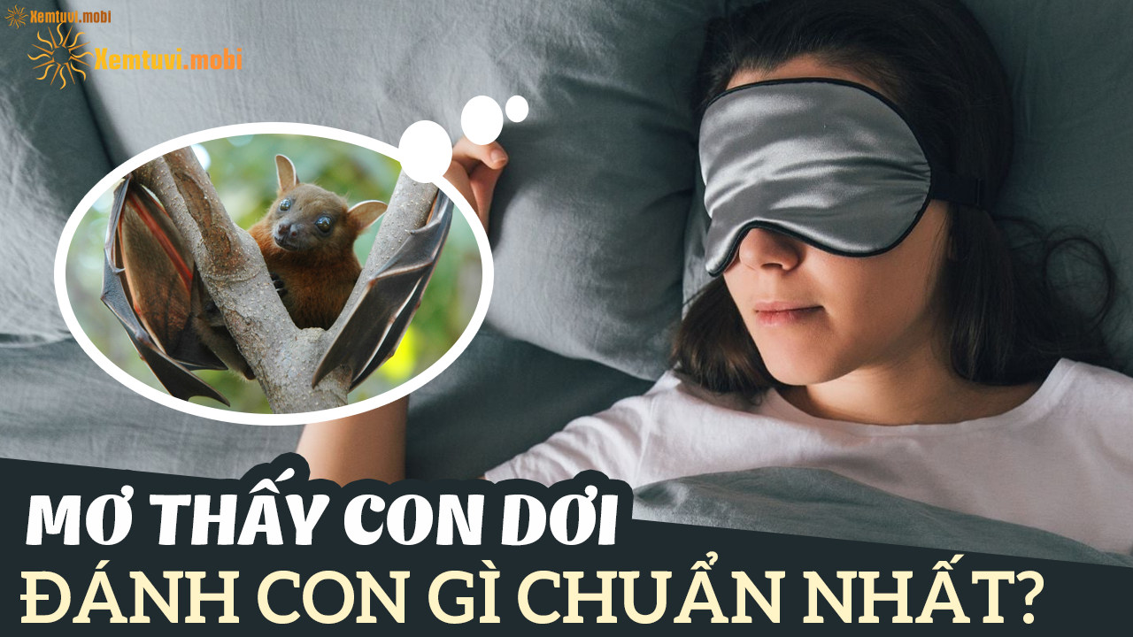 Nằm Mơ Câu Được Cá Đánh Con Gì? Giải Mã Và Đánh Số