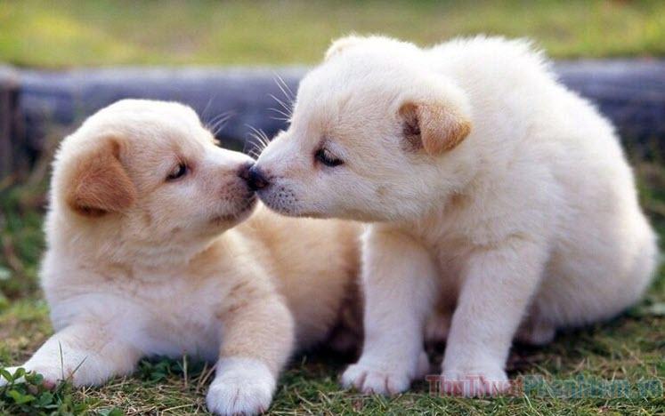 Giải Mã Giấc Mơ Nhặt Được Vàng Giả Đánh Đề Con Gì?