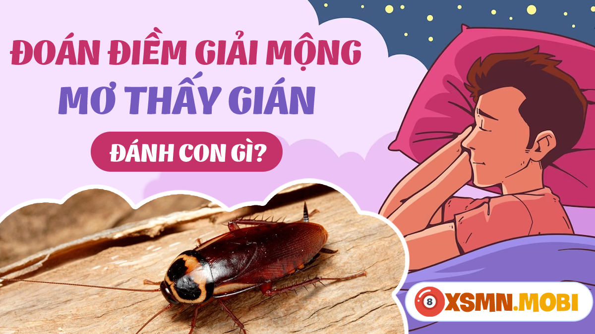 Giải Mã Giấc Mơ Thấy Mình Chết Cháy Đánh Con Gì?