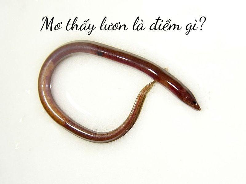 Giải Mã Giấc Mơ Thấy Có Người Kéo Chân Đánh Con Gì?