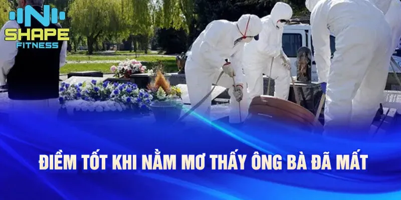 Giải Mã Giấc Mơ Thấy Ba Bị Đánh Đánh Con Gì?