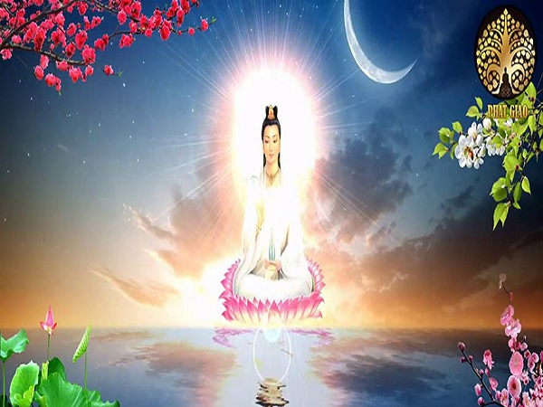 Nằm Mơ Thấy Lươn Số Mấy? Giải Mã Và Đánh Đề