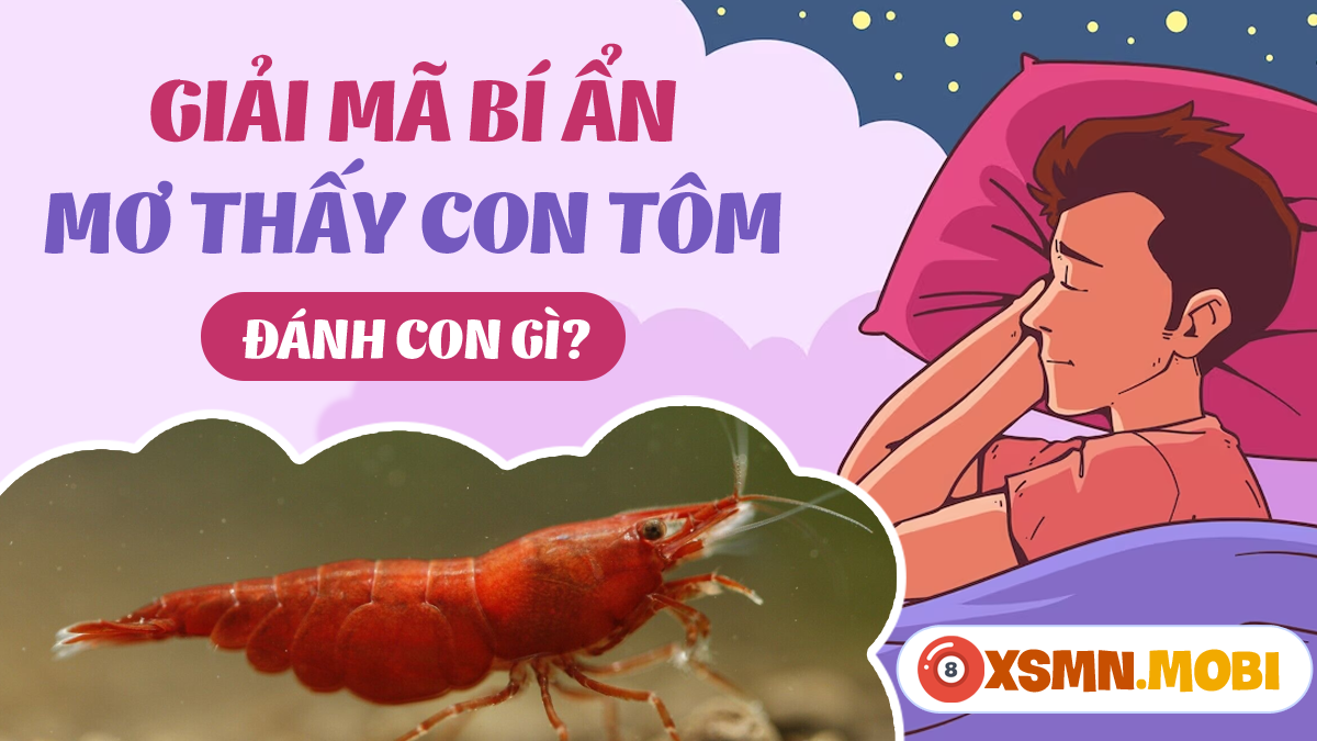 Giải Mã Giấc Mơ Thấy Lội Nước Mênh Mông Và Số Đề Liên Quan