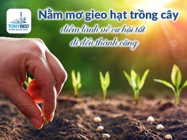 Giải Mã Giấc Mơ Thấy Mất Điện Thoại Đánh Con Gì?