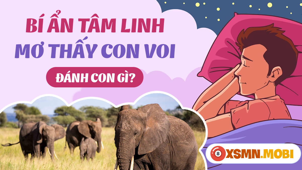 Nằm mơ thấy nhà vệ sinh đánh con gì? Giải mã chi tiết