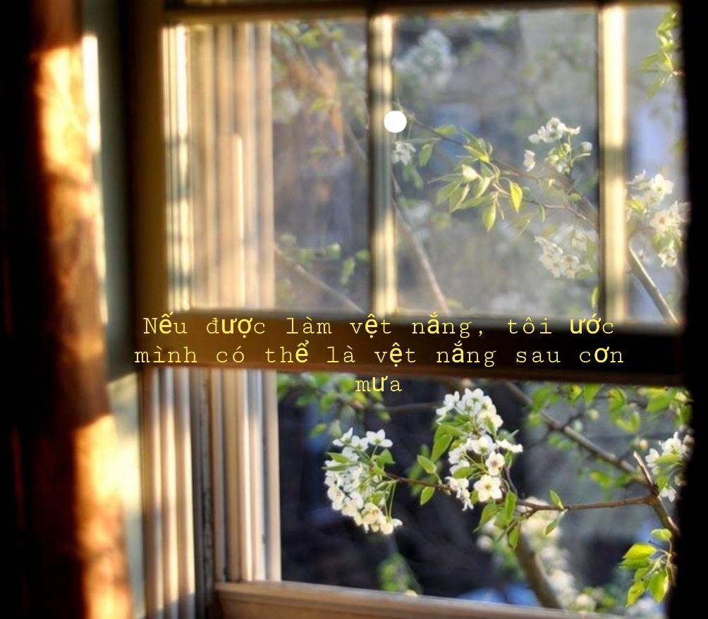 Nắng sau cơn mưa