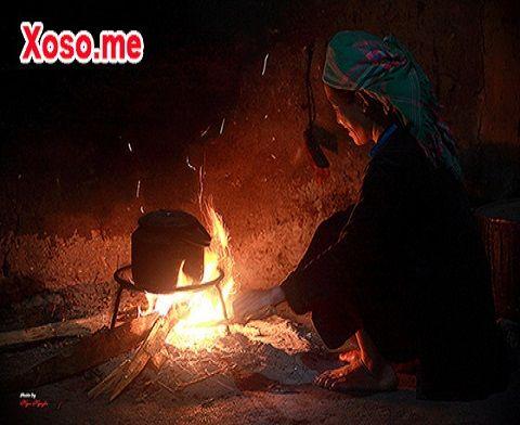 Giải Mã Giấc Mơ Nghe Tiếng Chuột Kêu Đánh Con Gì?