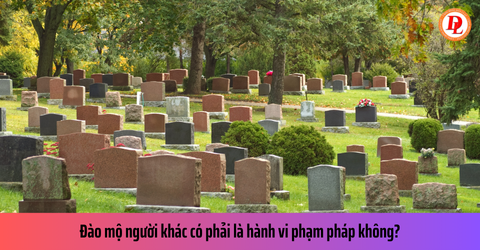 Giải Mã Giấc Mơ Thấy Con Tằm Và Số Đề Liên Quan