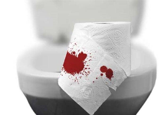 Giải Mã Giấc Mơ Thấy Chó Trắng Vào Nhà Và Số Đề Liên Quan