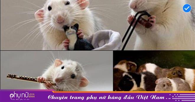 Nằm Mơ Thấy Bát Hương Cháy Đánh Con Gì?