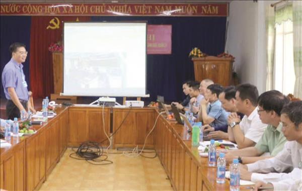 Giải Mã Giấc Mơ Thấy Cây Lưỡi Hổ Và Số Đề Liên Quan