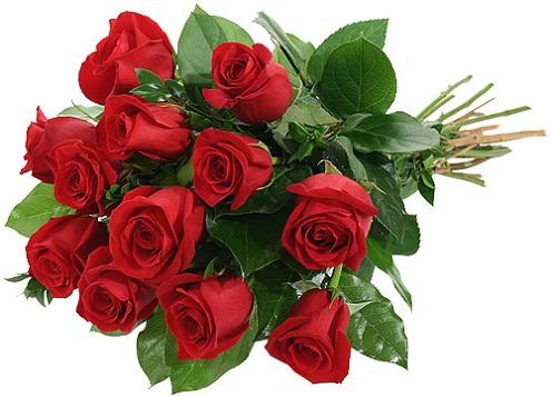 Nằm Mơ Thấy Đi Tiểu Ra Máu Đánh Con Gì?