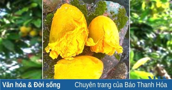 Nằm Mơ Thấy Con Nít Đánh Số Gì? Giải Mã Chi Tiết