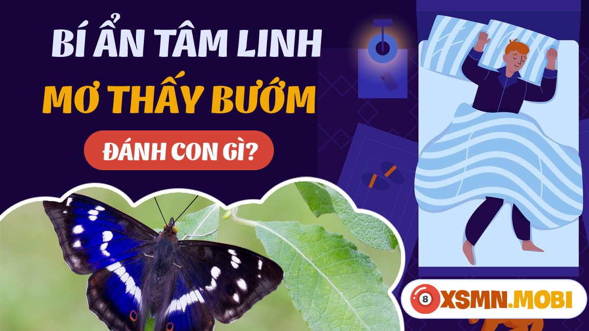 Giải Mã Giấc Mơ Thấy Đi Thuyền Trên Sông Lớn Và Số Đề