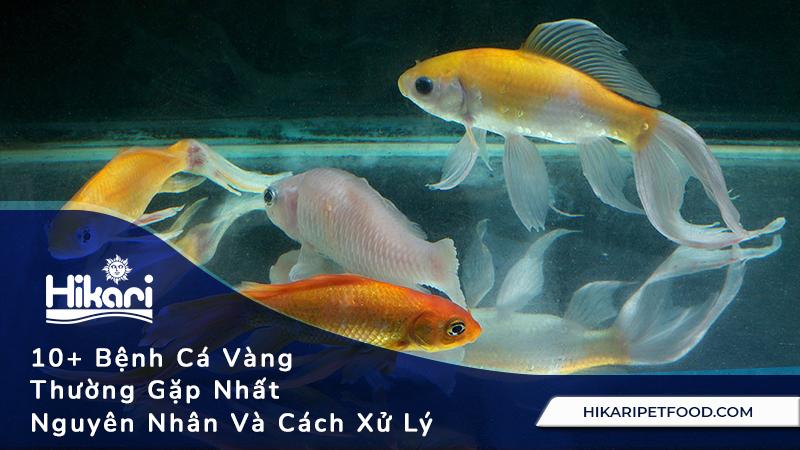 Giải Mã Giấc Mơ Thấy Cứu Người Đánh Đề Con Gì?